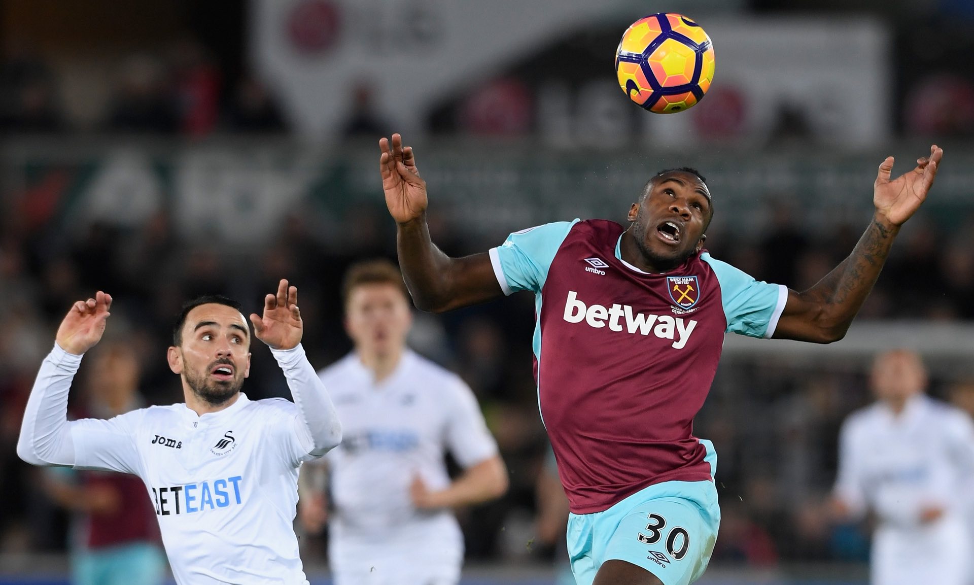 了球隊管理 了球隊管理